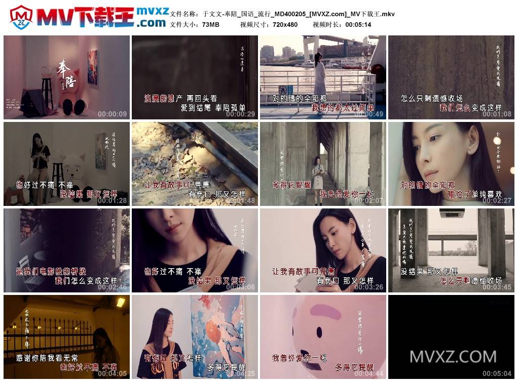 于文文-奉陪_国语_流行_MD400205